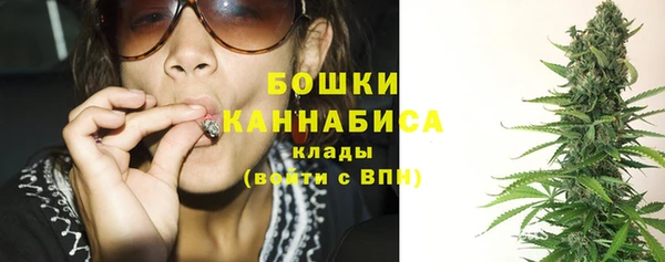 дживик Кинешма