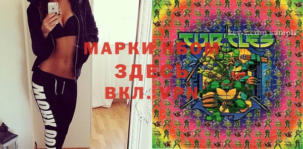 дживик Кинешма