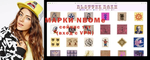 дживик Кинешма