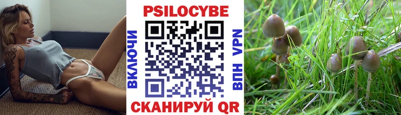 Псилоцибиновые грибы Cubensis  Купить  Бологое 